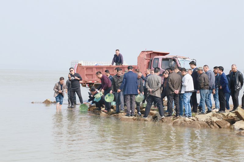 增殖放流 守护一江碧水